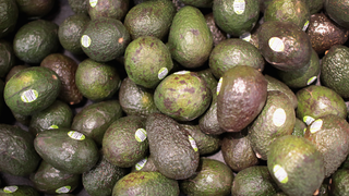 Big Avocado Will Pay You to Eat Avocados